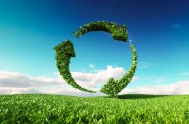 Sustainability and Compliance